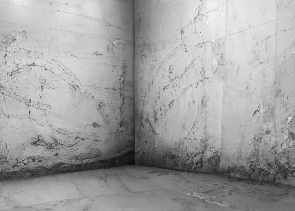 schwarzer schimmel wand