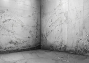 schwarzer schimmel wand