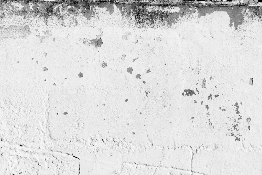 schwarze flecken wand